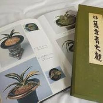 萬年青 図版 保育社 Amazon.co.jp: 絶版 □定本万年青大観 おもと図鑑 奥谷三郎